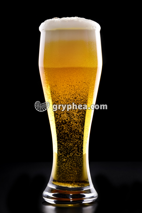 Résultat de l'action de micro-oorganismes sur l'orge : la Bière - gryphea.com